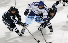 足彩竞猜|意甲第19轮最佳阵容揭晓，乔纳森-戴维、迪马尔科与法乔利领衔闪耀